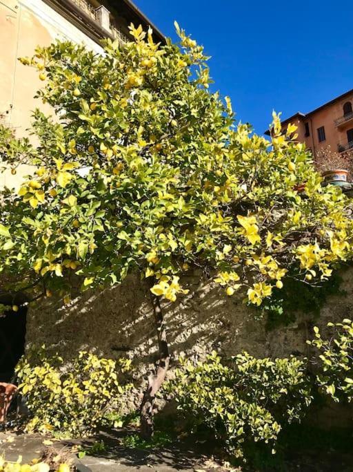 Villa Liviaラ・スペツィア エクステリア 写真